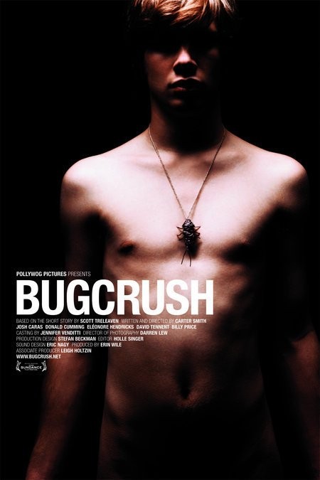 Bugcrush Short Film Poster