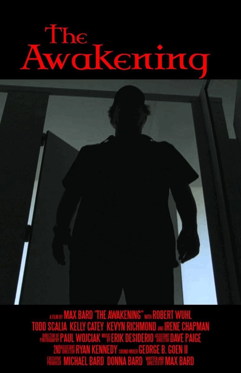 Extra Large Movie Poster Image for The Awakening