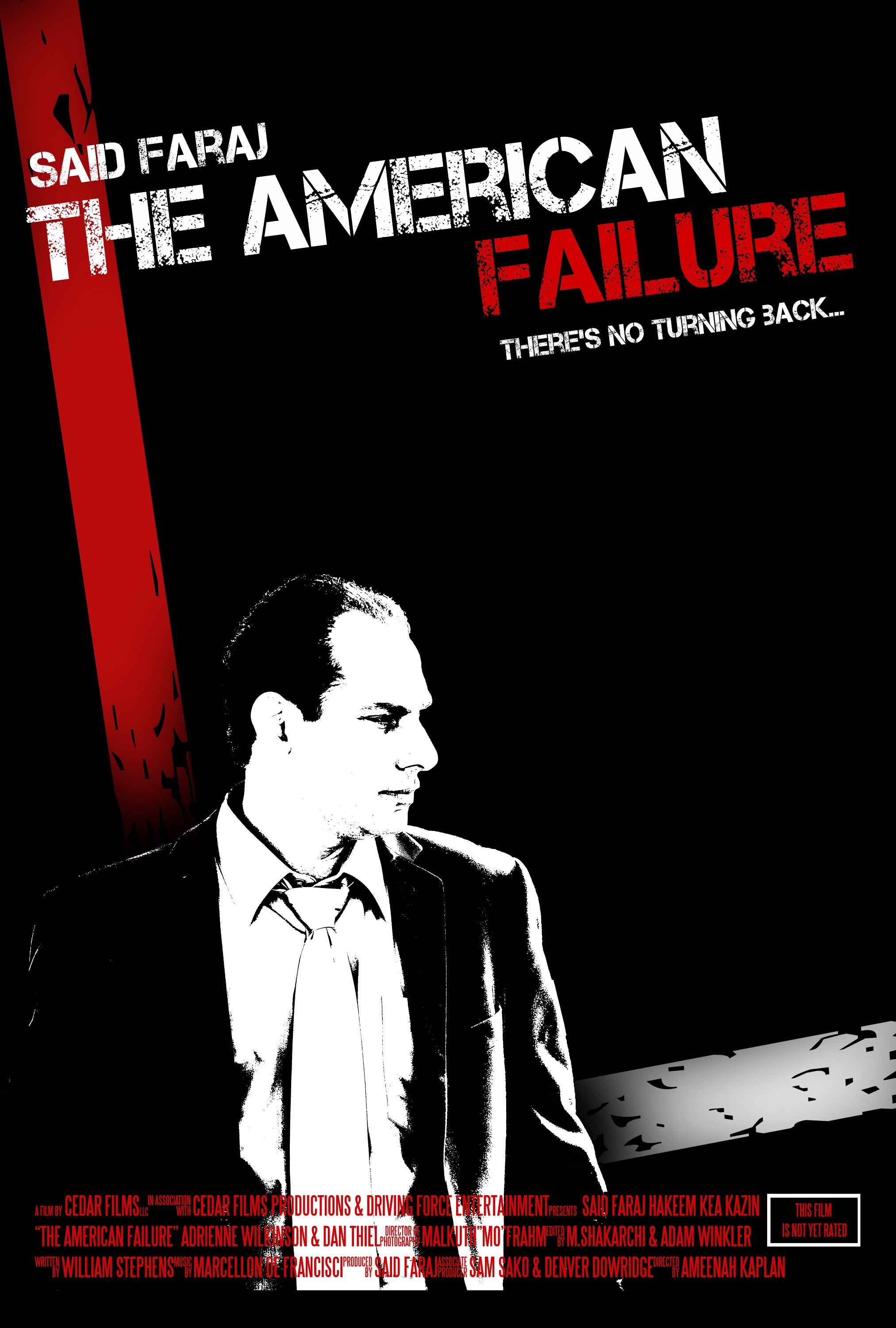Mega Sized Movie Poster Image for The American Failure