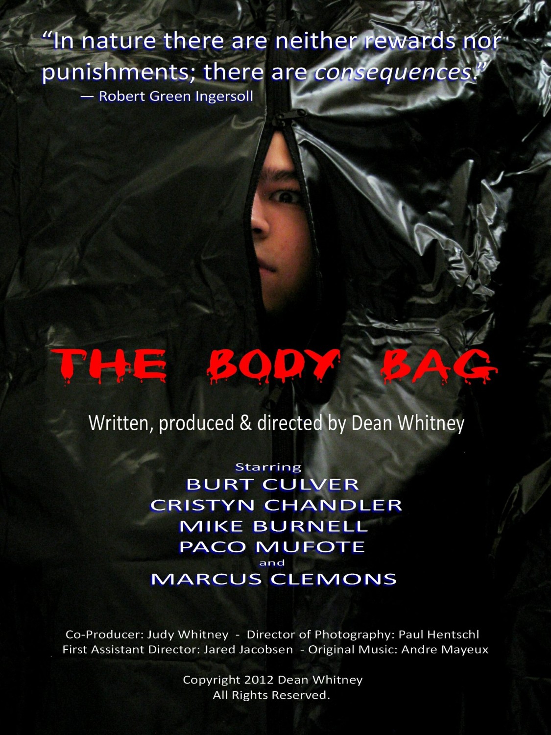 Extra Large Movie Poster Image for The Body Bag