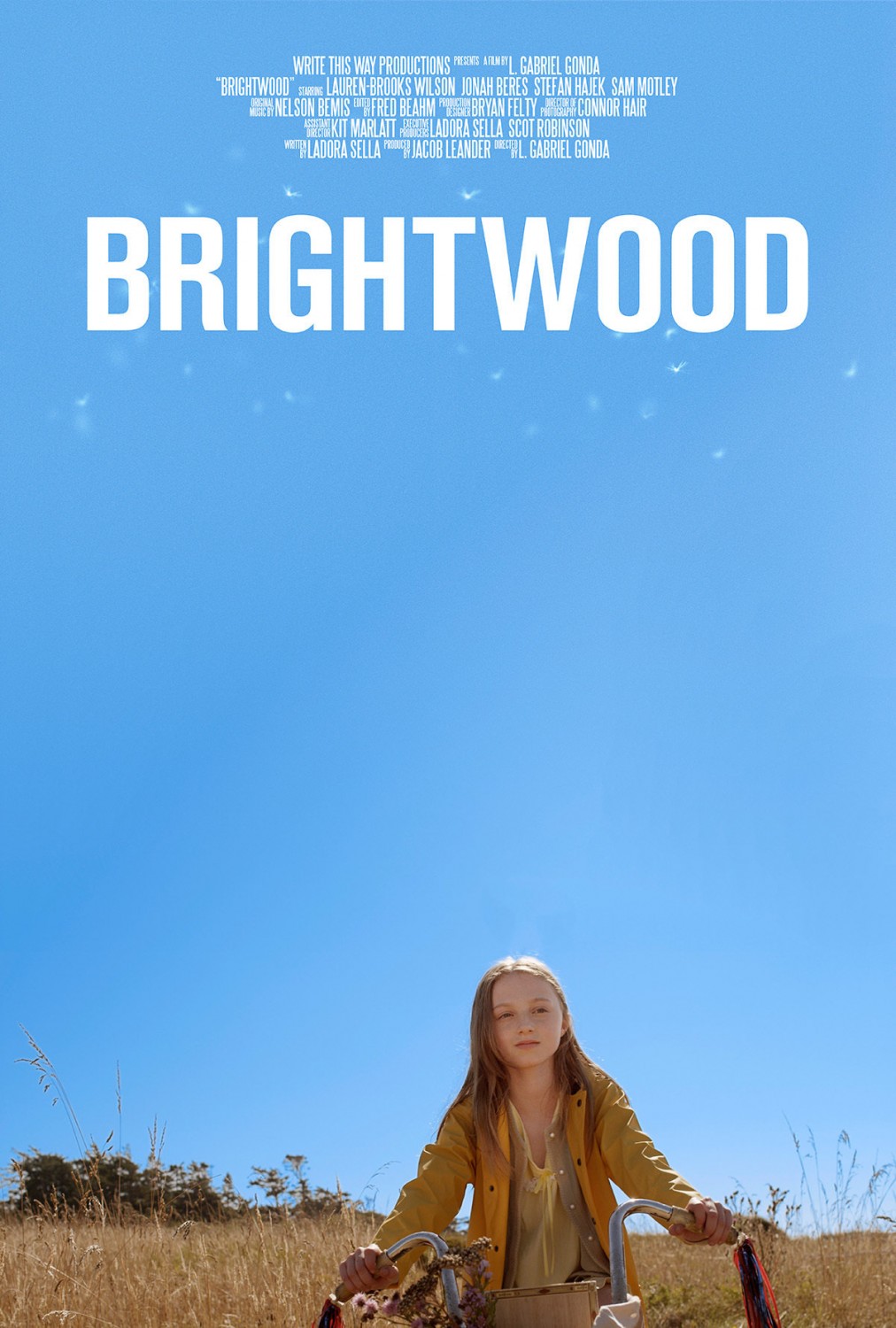 Extra Large Movie Poster Image for Brightwood