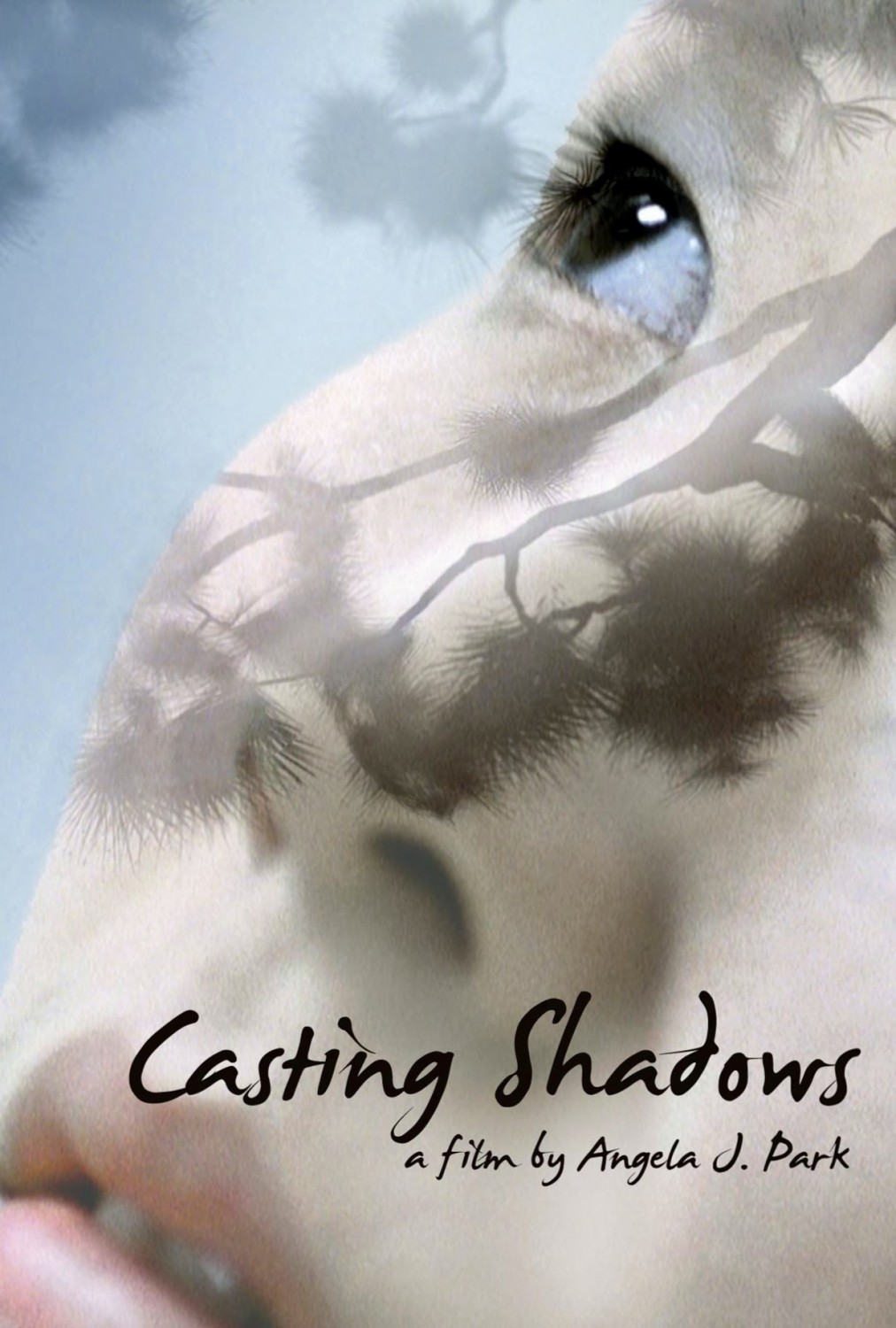 Extra Large Movie Poster Image for Casting Shadows