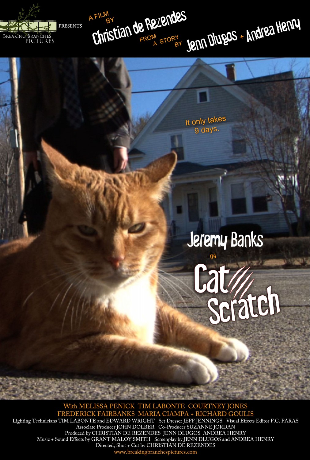 Extra Large Movie Poster Image for Cat Scratch