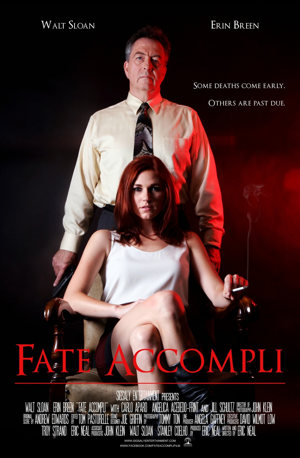 Extra Large Movie Poster Image for Fate Accompli