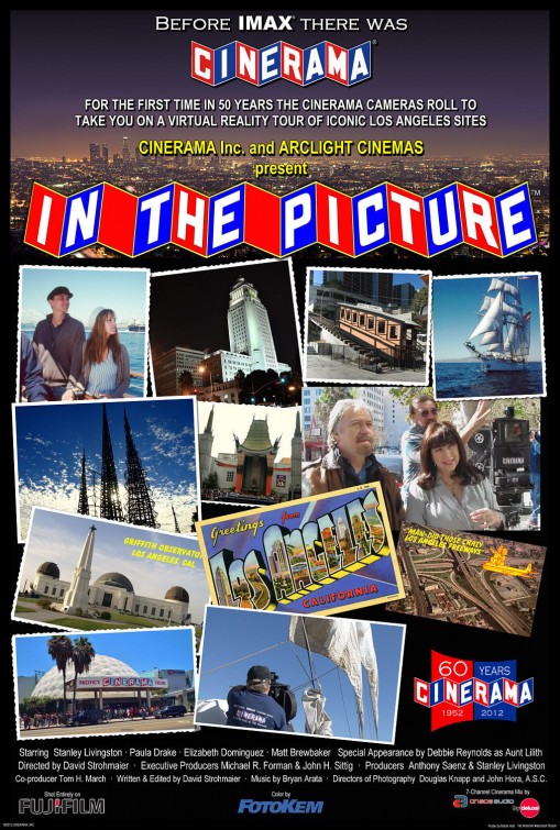 In the Picture Short Film Poster