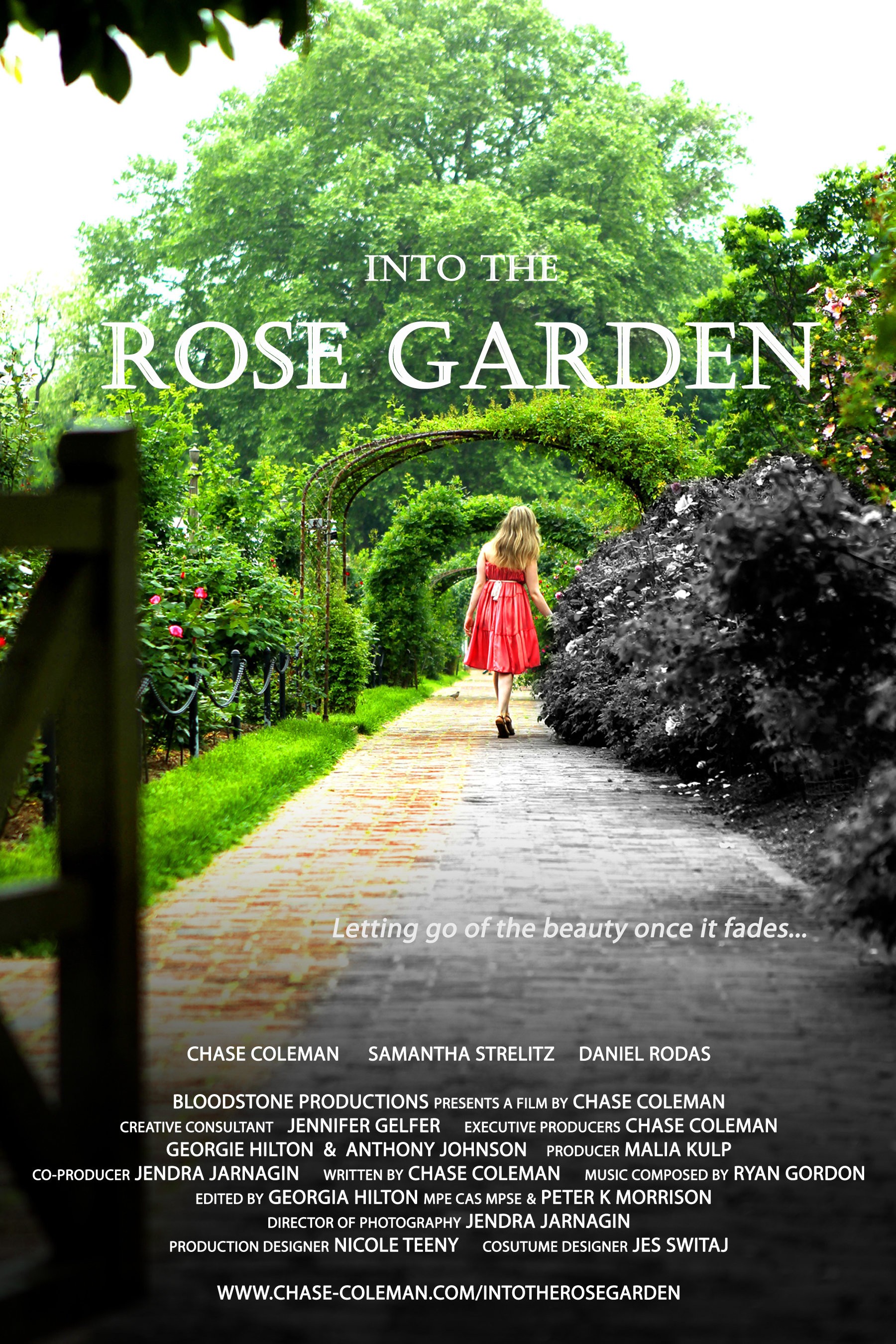 Mega Sized Movie Poster Image for Into the Rose Garden