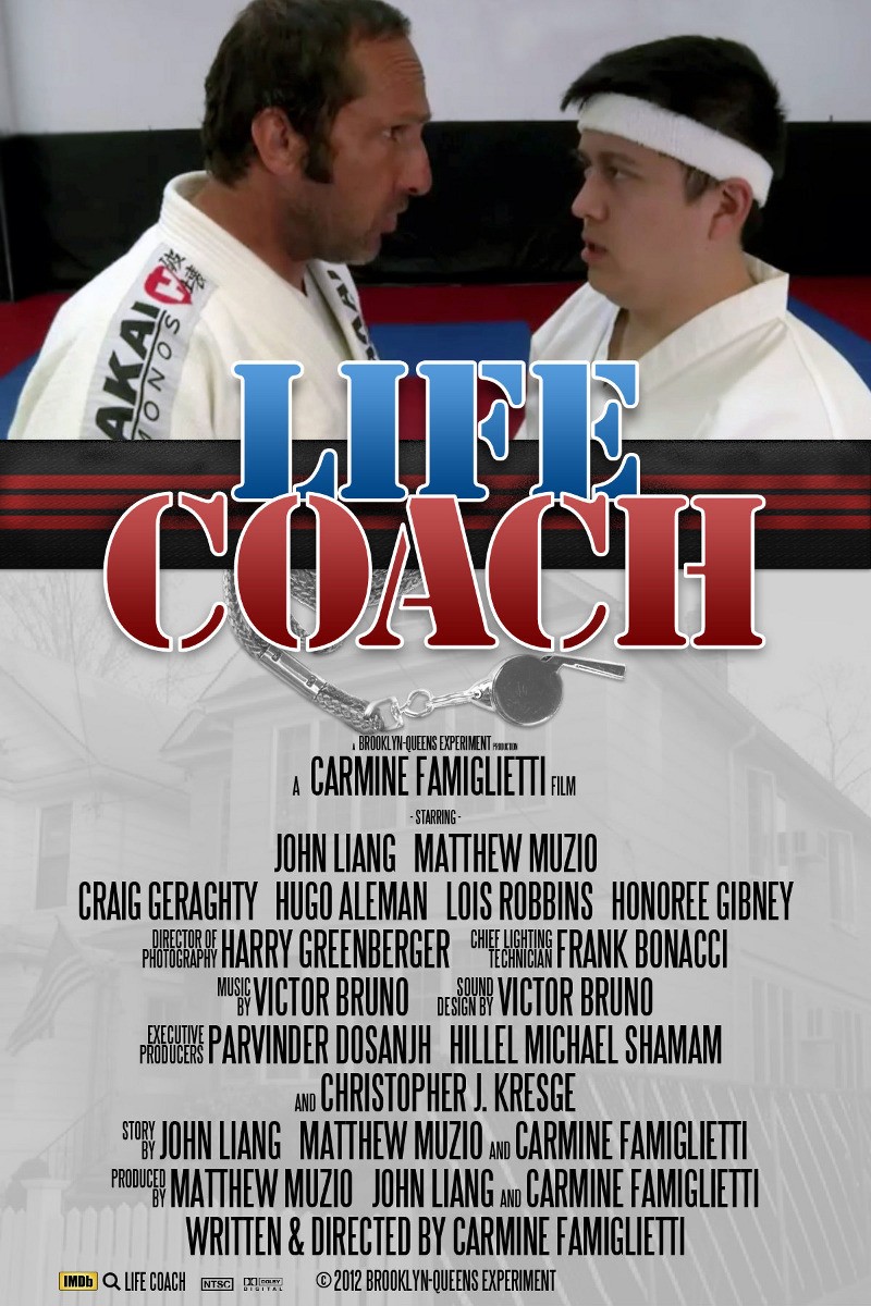 Extra Large Movie Poster Image for Life Coach