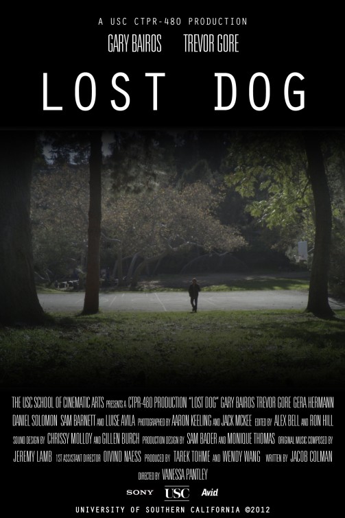 Lost Dog Short Film Poster