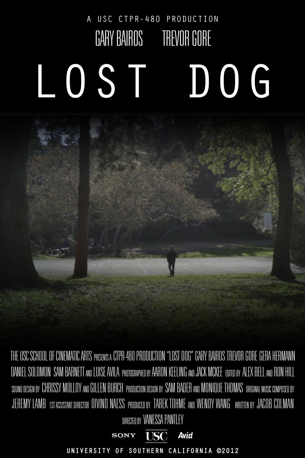 Extra Large Movie Poster Image for Lost Dog