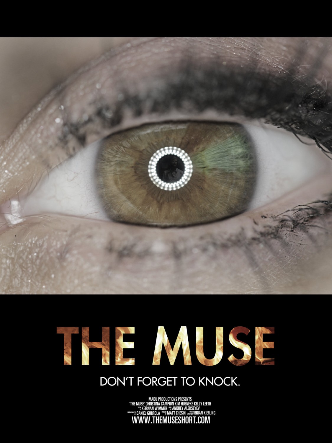 Extra Large Movie Poster Image for The Muse
