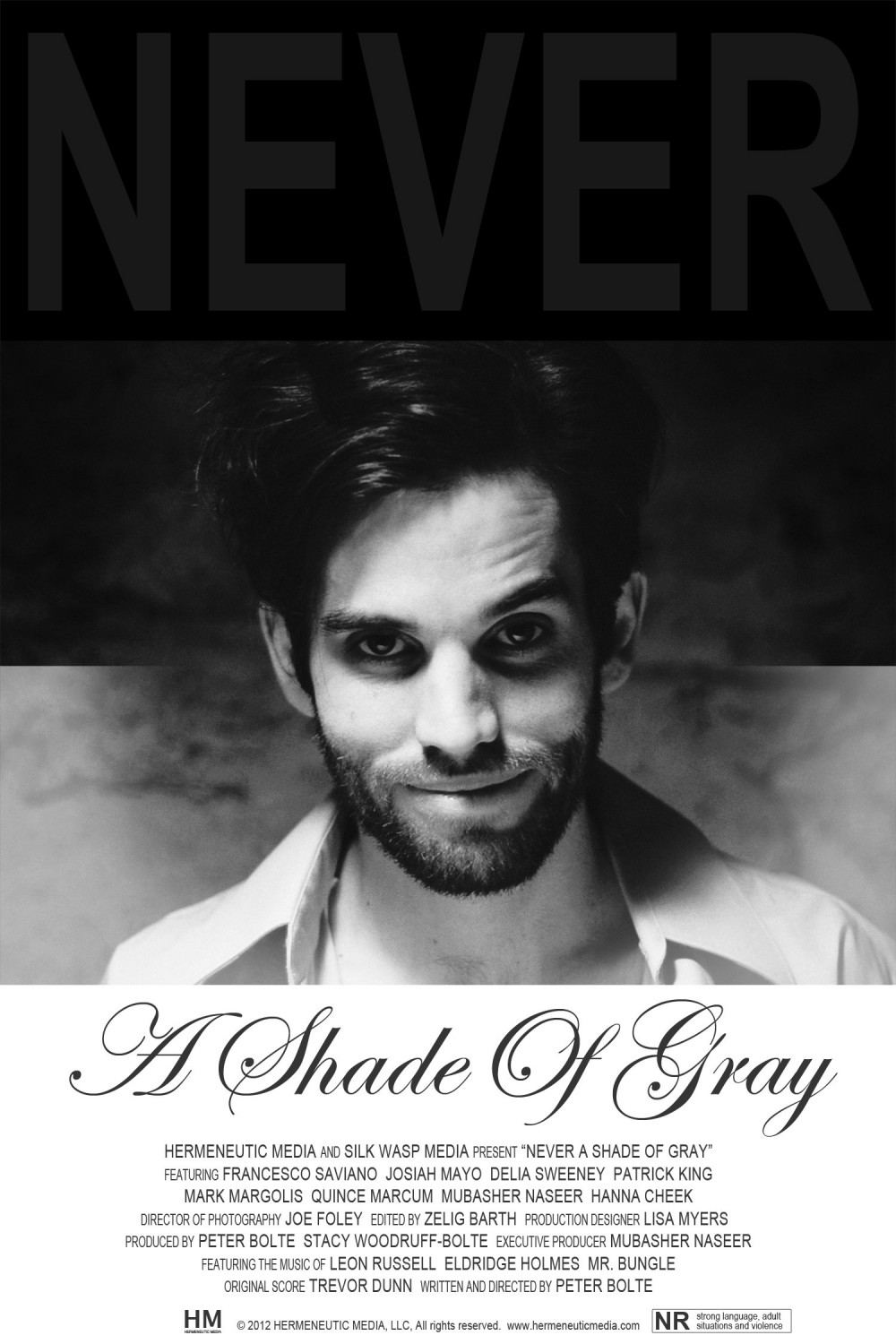 Extra Large Movie Poster Image for Never a Shade of Gray