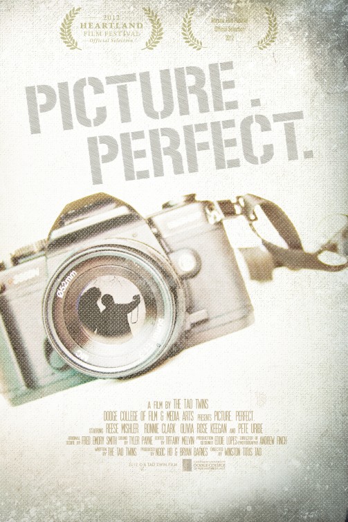 Picture. Perfect. Short Film Poster