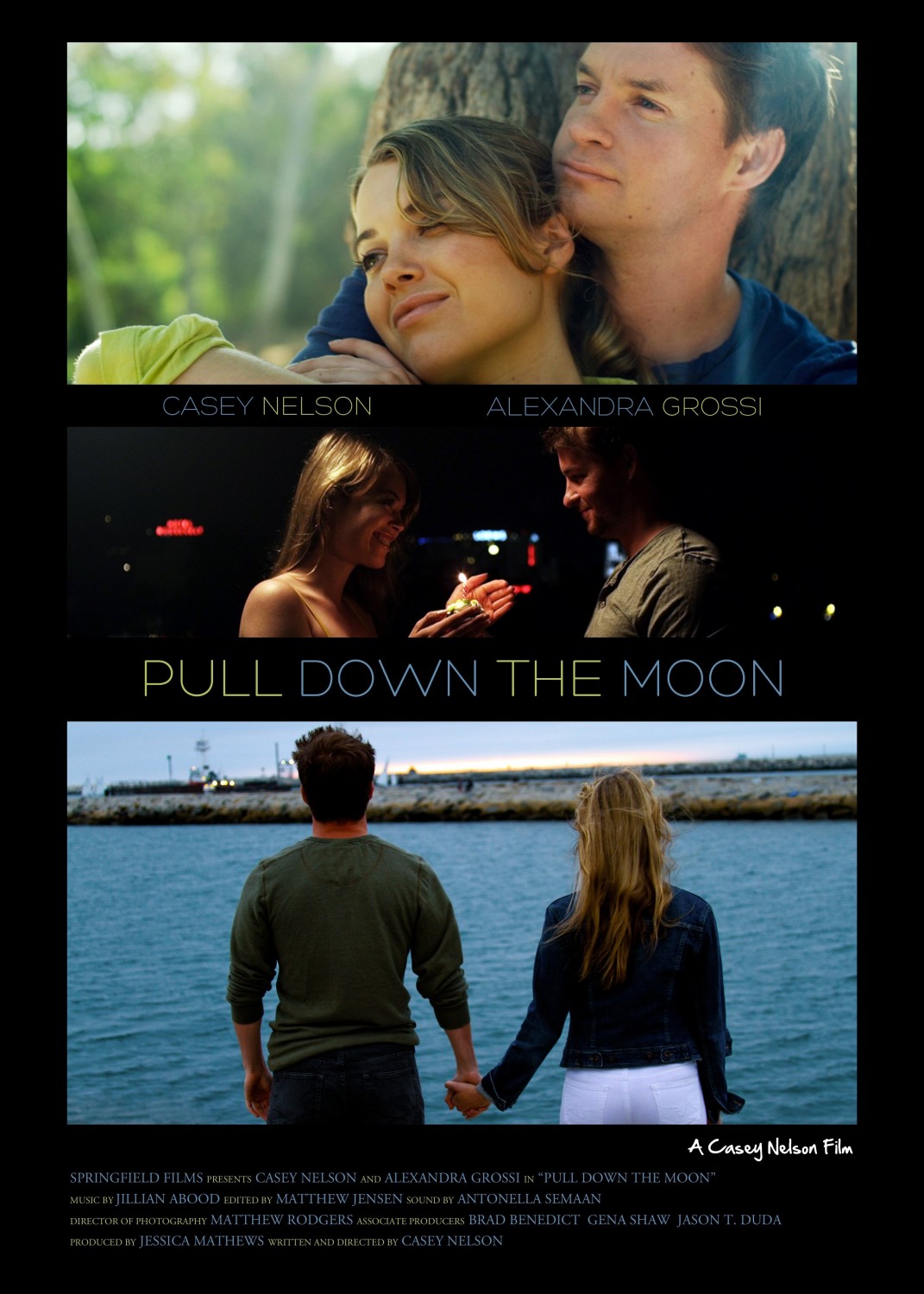 Extra Large Movie Poster Image for Pull Down the Moon