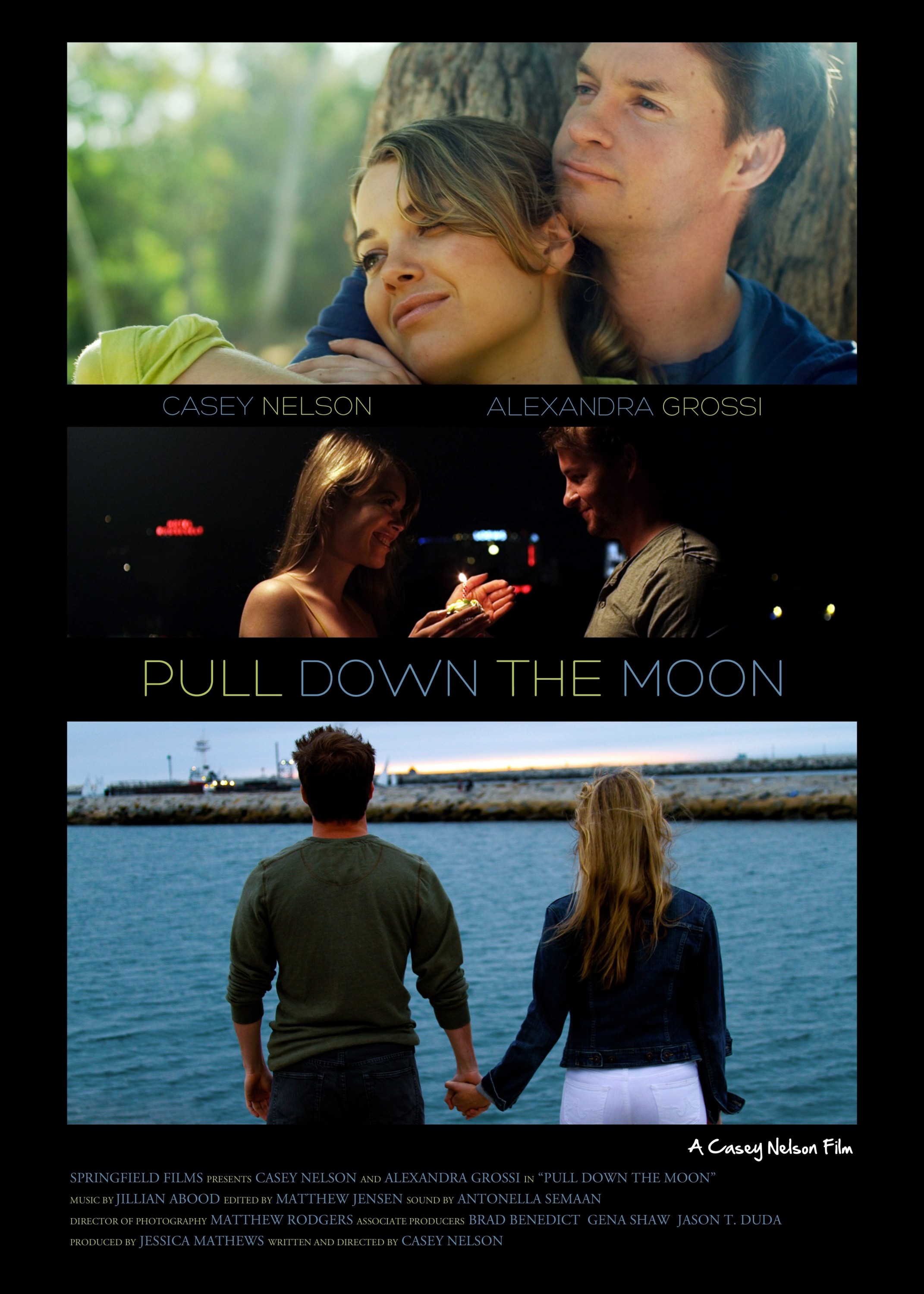 Mega Sized Movie Poster Image for Pull Down the Moon