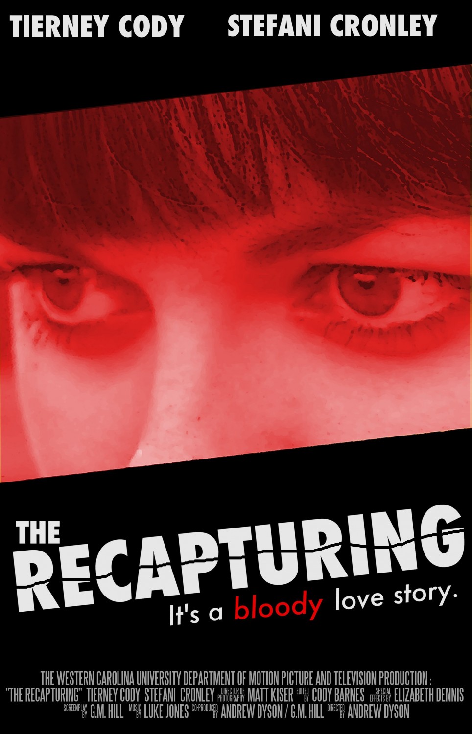 Extra Large Movie Poster Image for The Recapturing