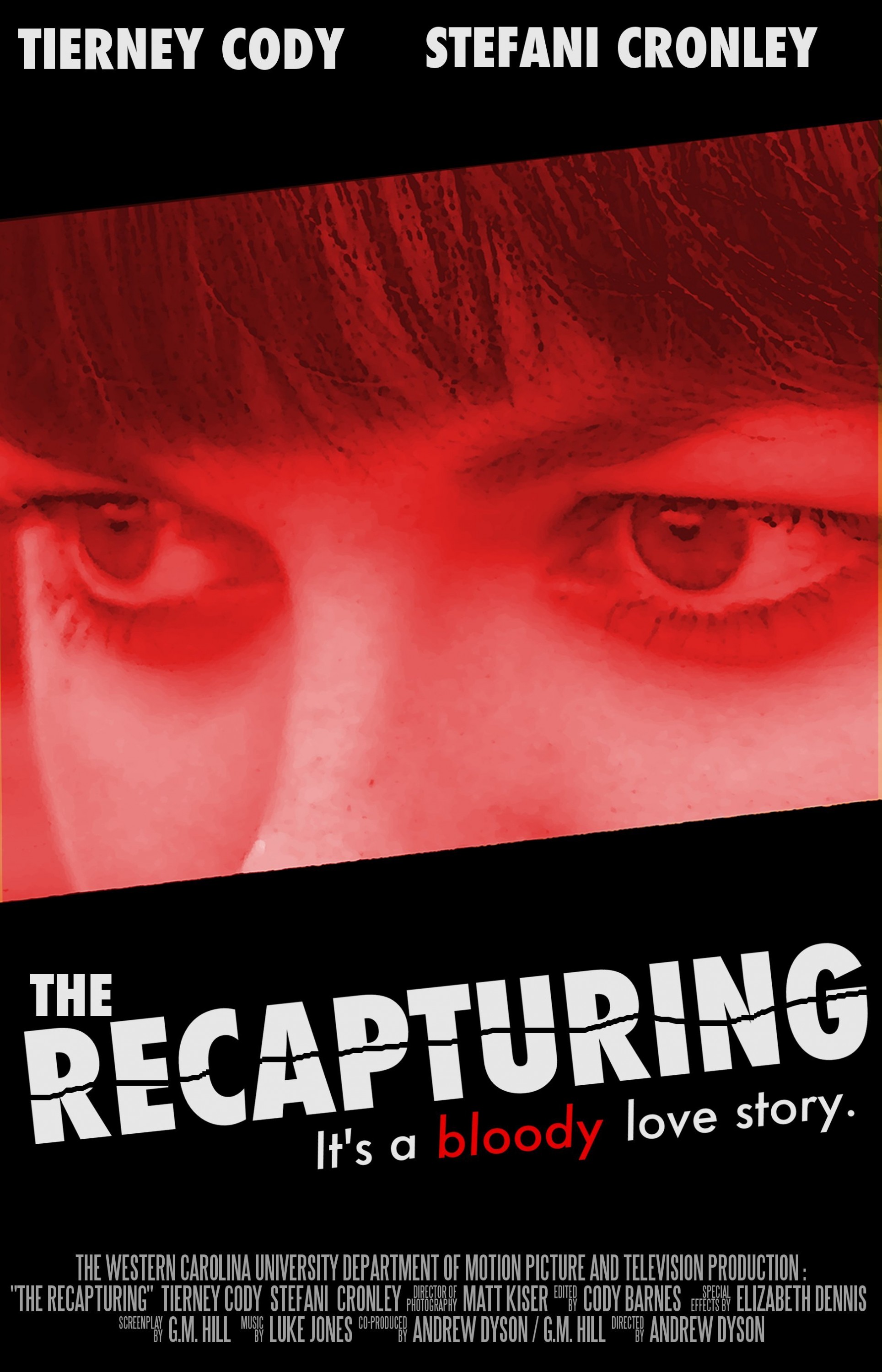 Mega Sized Movie Poster Image for The Recapturing