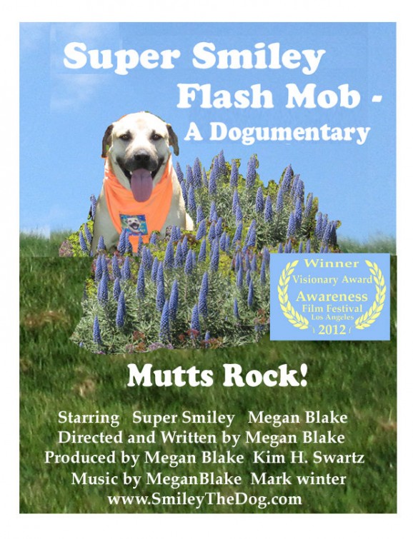 Super Smiley Flash Mob: A Dogumentary Short Film Poster