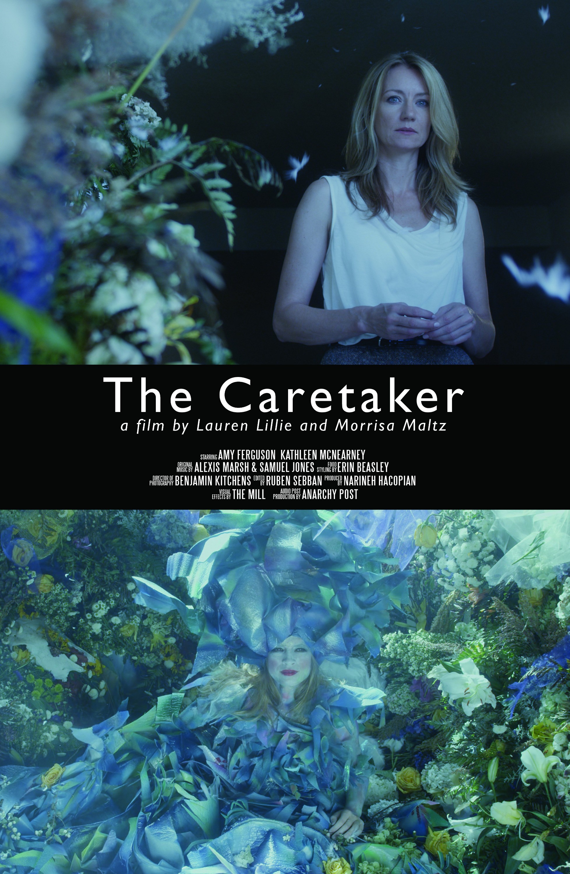 Mega Sized Movie Poster Image for The Caretaker
