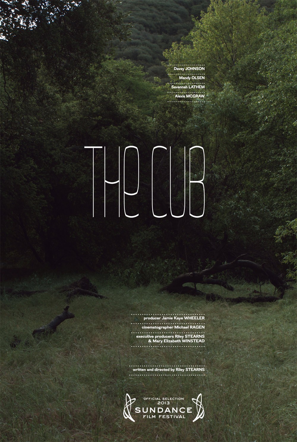 Extra Large Movie Poster Image for The Cub