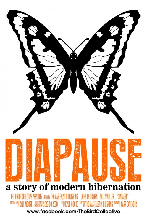 Diapause Short Film Poster