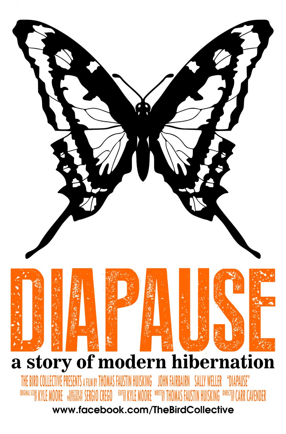 Extra Large Movie Poster Image for Diapause