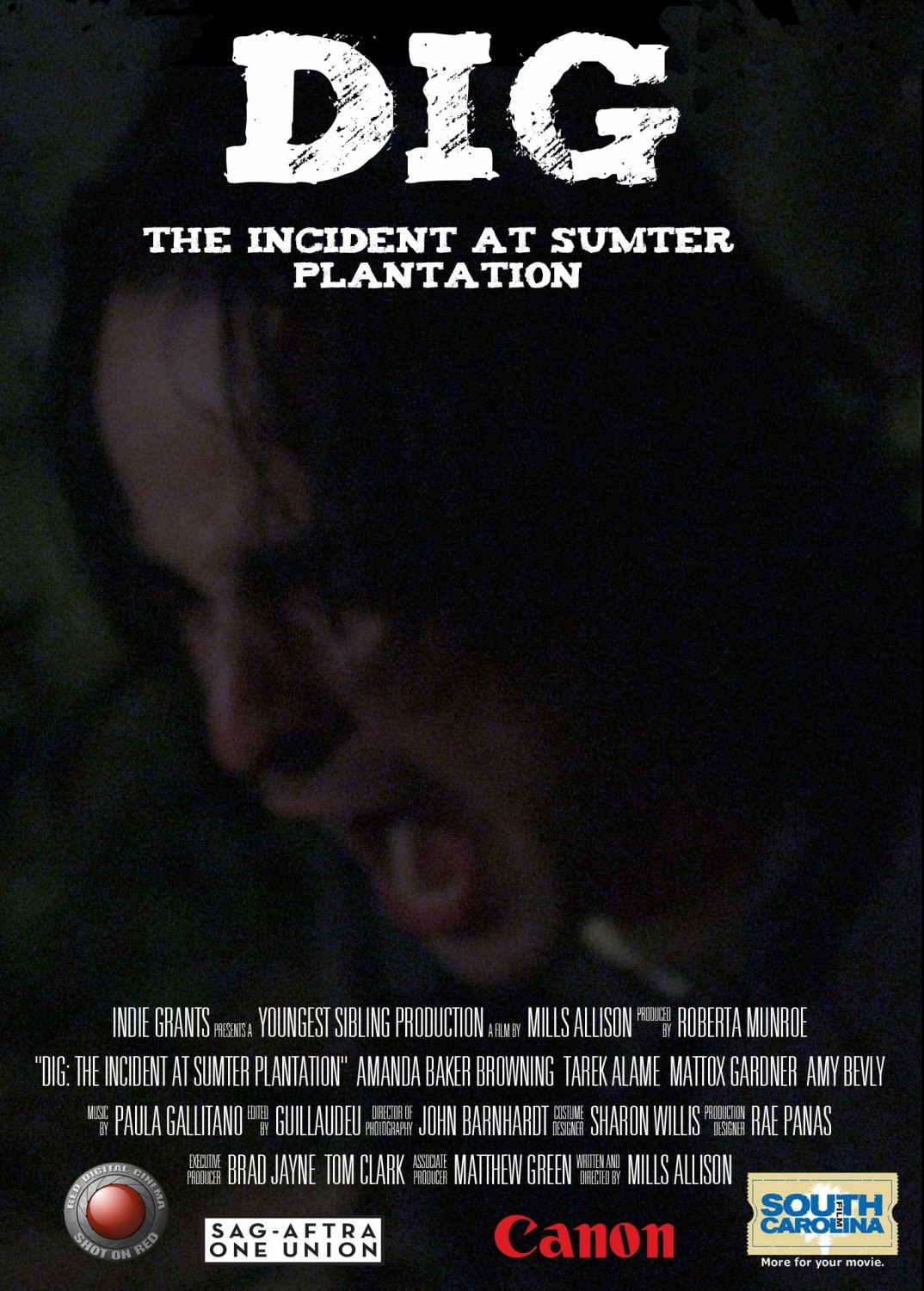 Extra Large Movie Poster Image for Dig: The Incident at Sumter Plantation