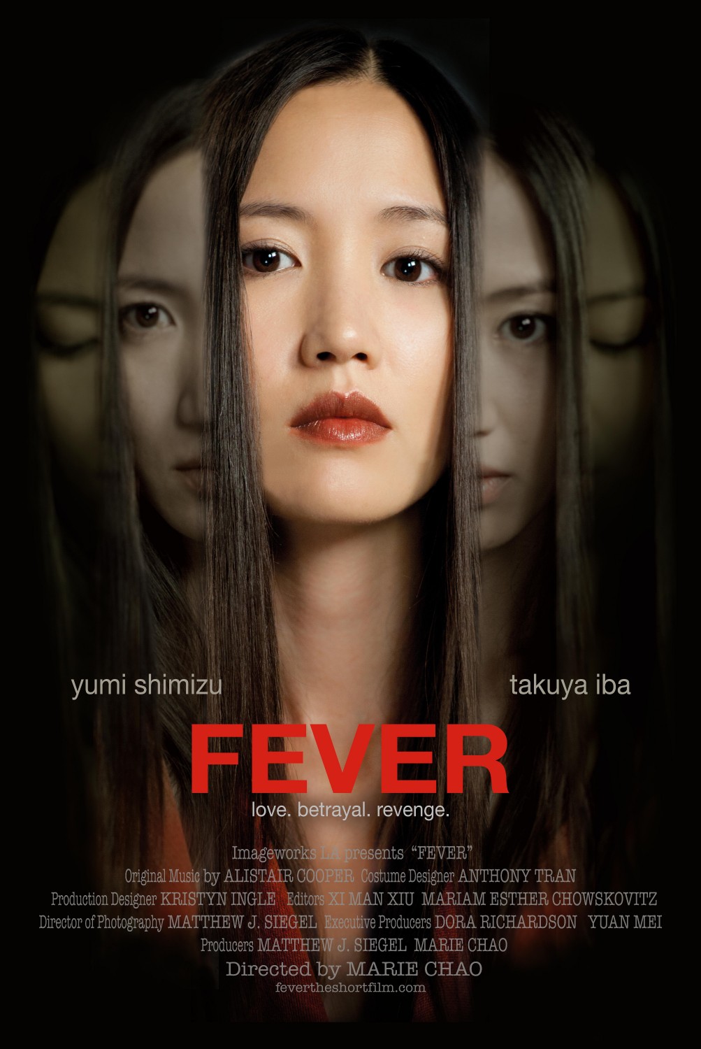 Extra Large Movie Poster Image for Fever