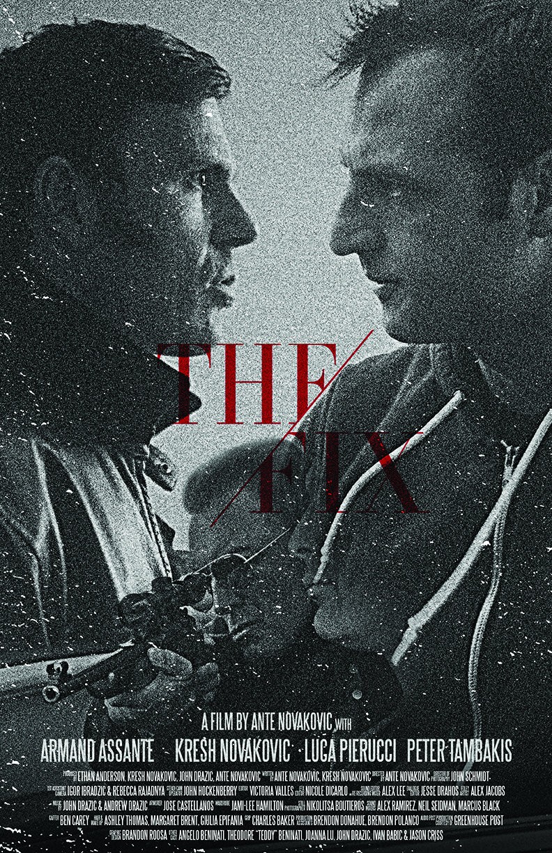 Extra Large Movie Poster Image for The Fix