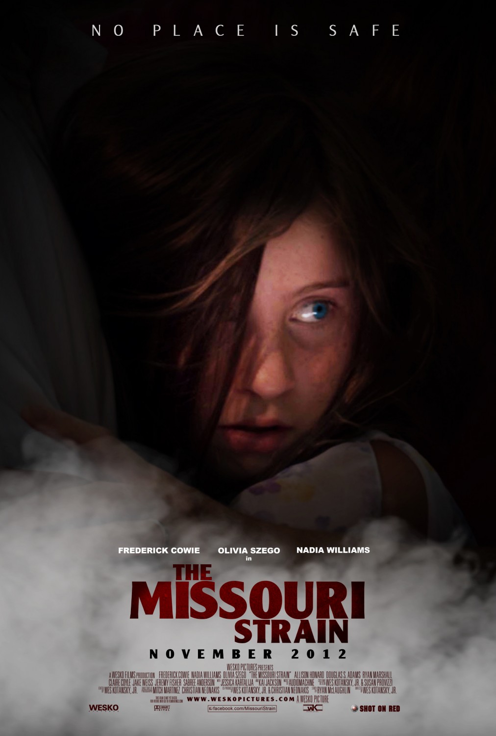 Extra Large Movie Poster Image for The Missouri Strain