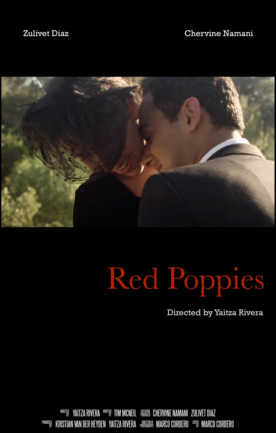 Extra Large Movie Poster Image for Red Poppies