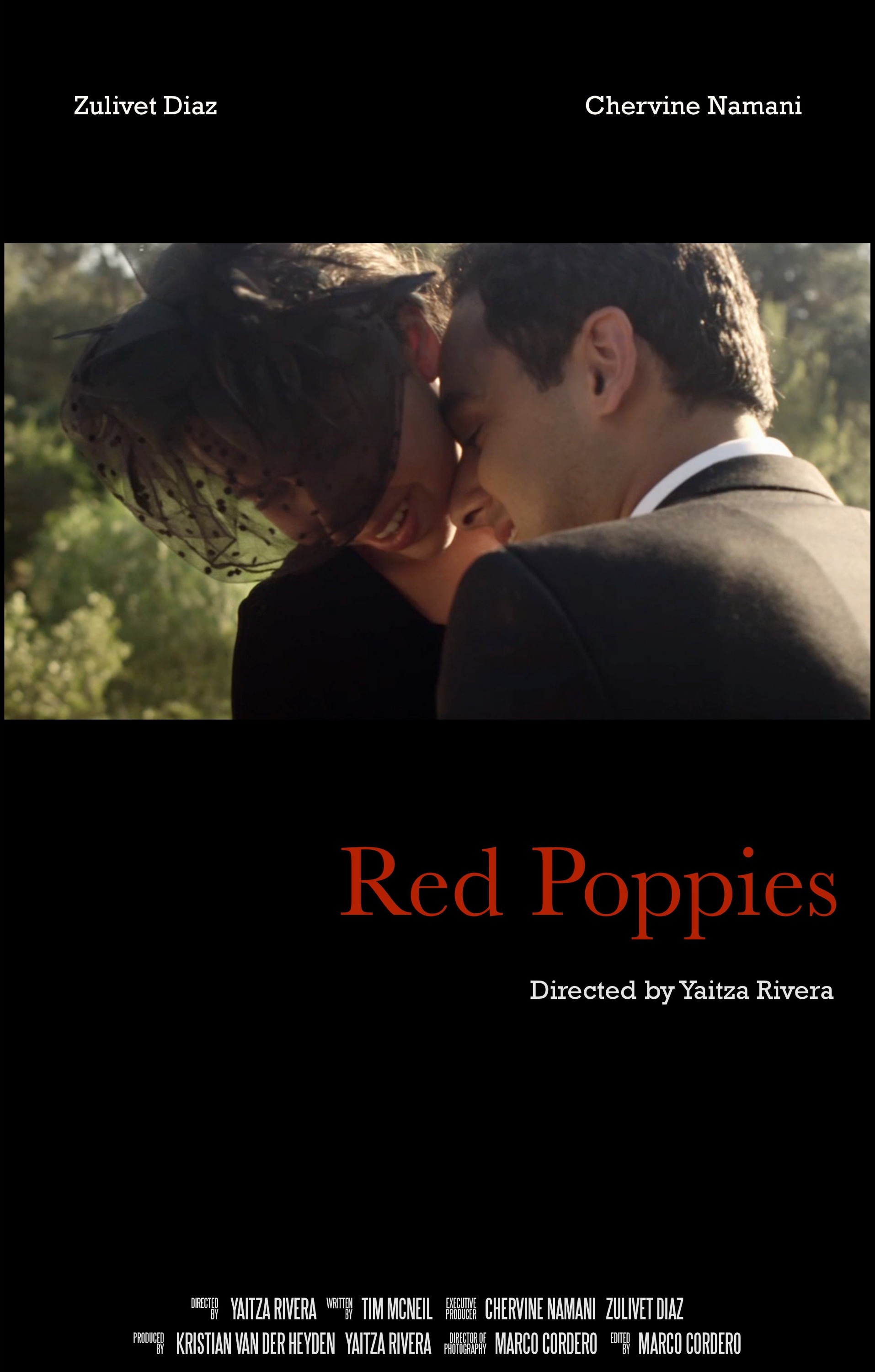 Mega Sized Movie Poster Image for Red Poppies