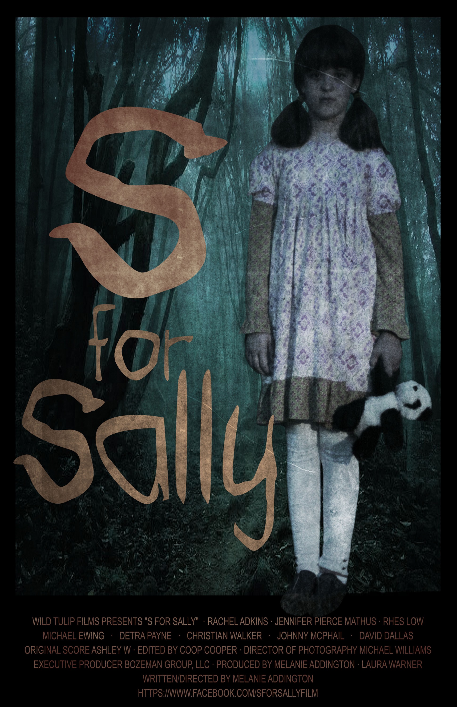 Mega Sized Movie Poster Image for S for Sally