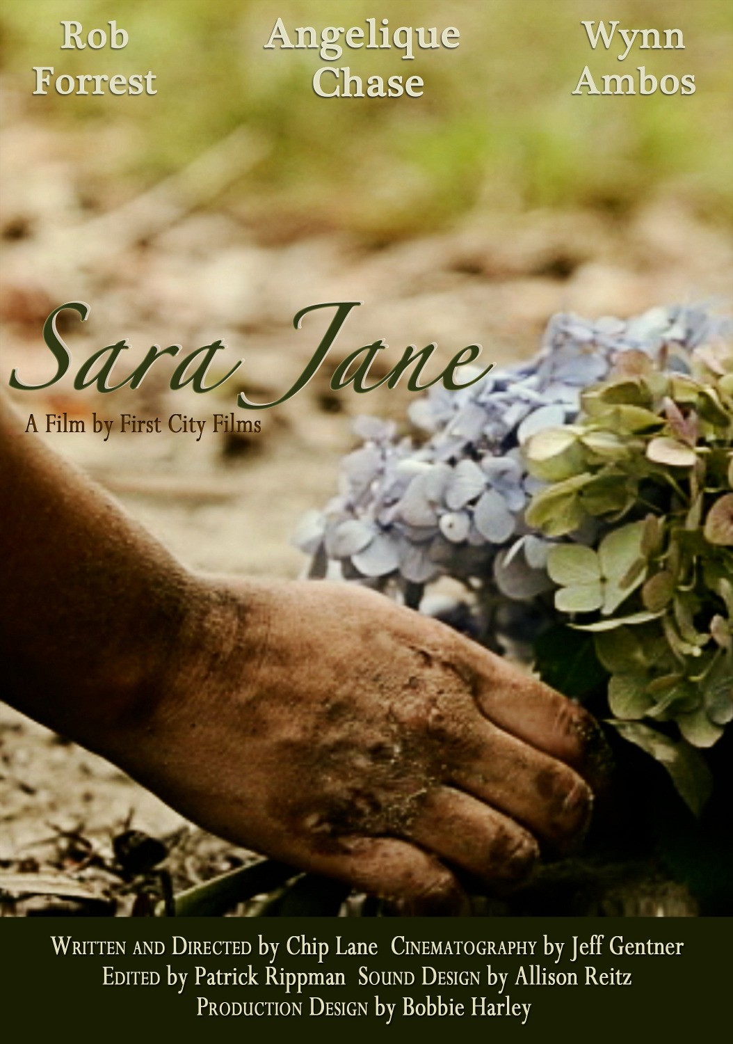 Extra Large Movie Poster Image for Sara Jane
