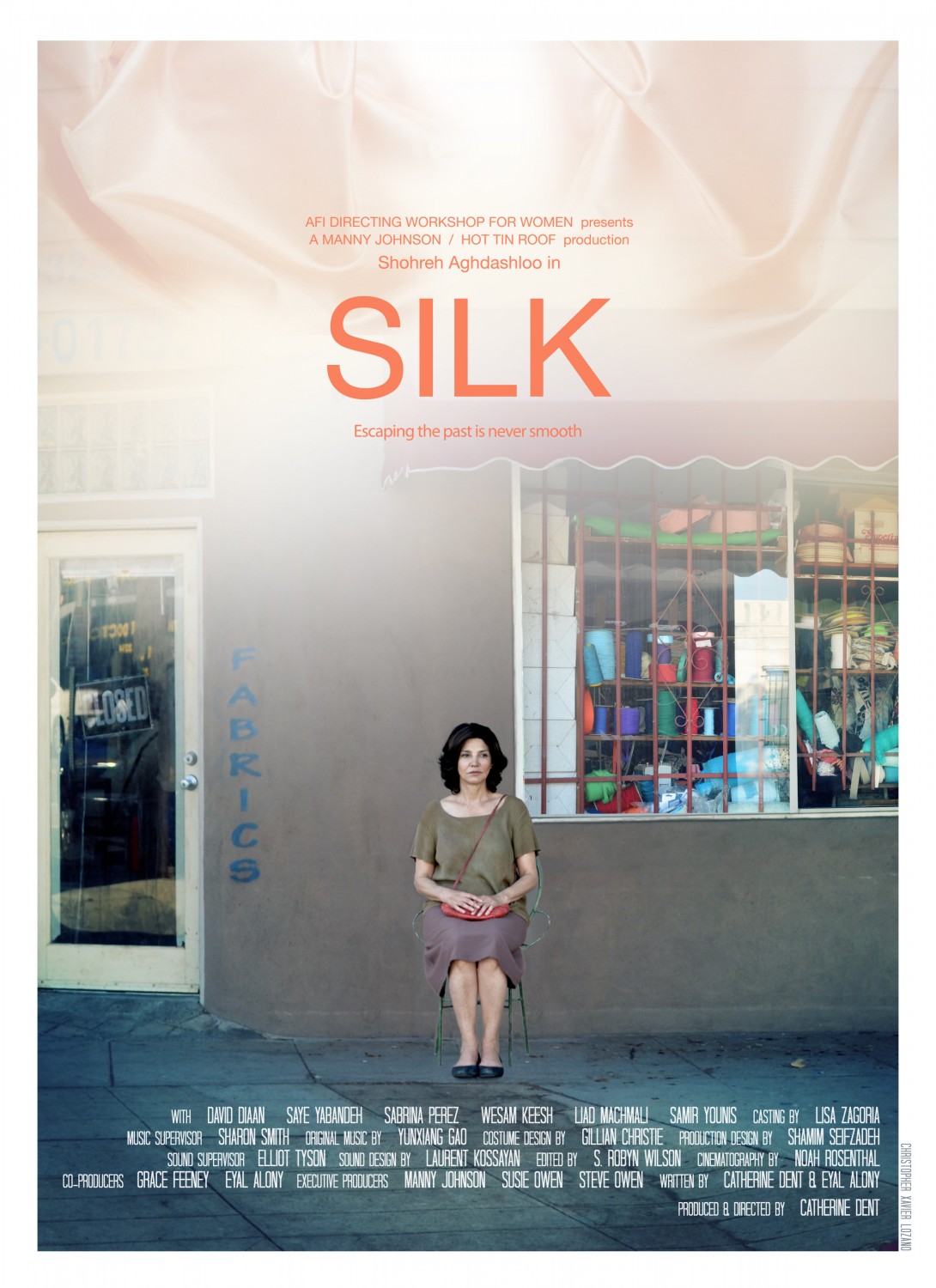 Extra Large Movie Poster Image for Silk