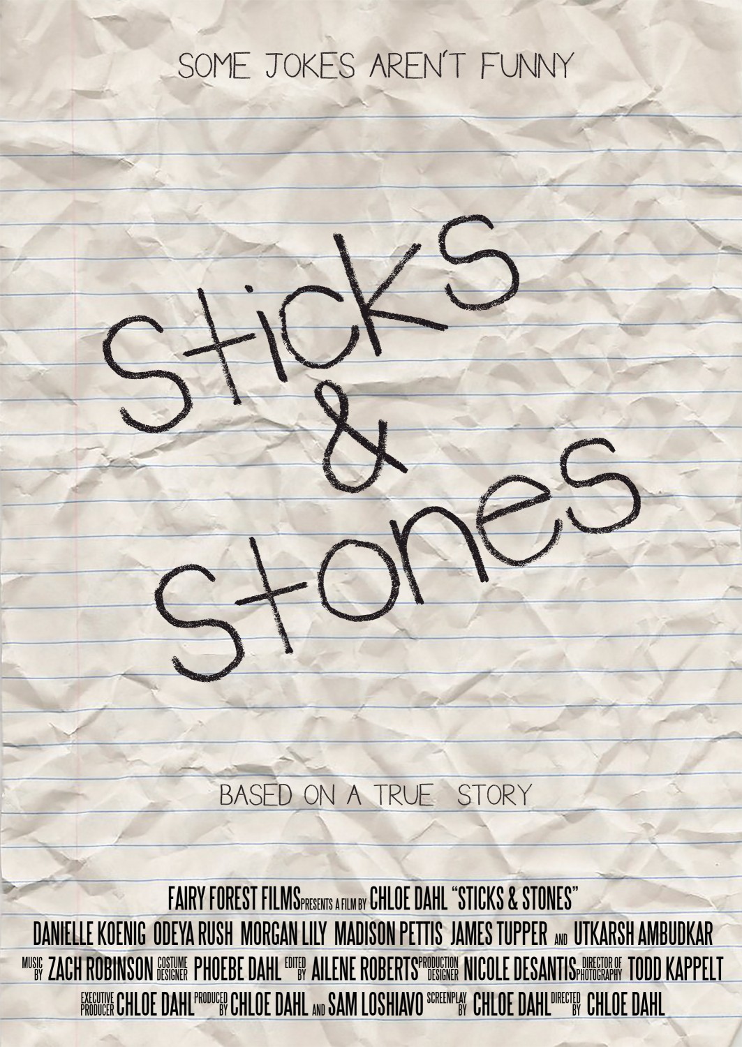 Extra Large Movie Poster Image for Sticks and Stones