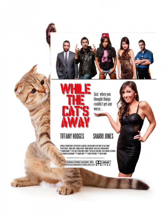 While the Cat's Away Short Film Poster