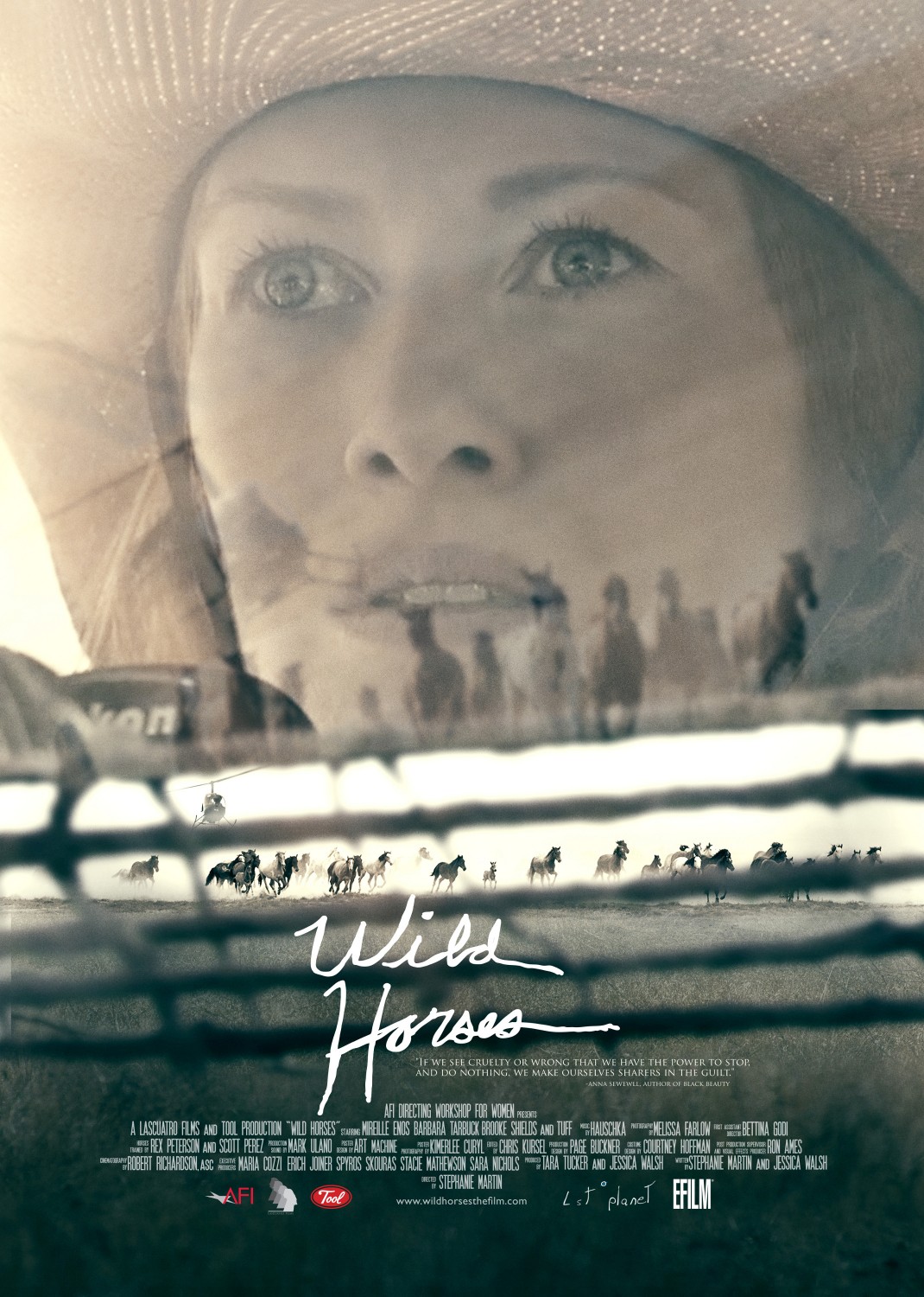 Extra Large Movie Poster Image for Wild Horses