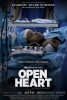 Open Heart (2013) Thumbnail