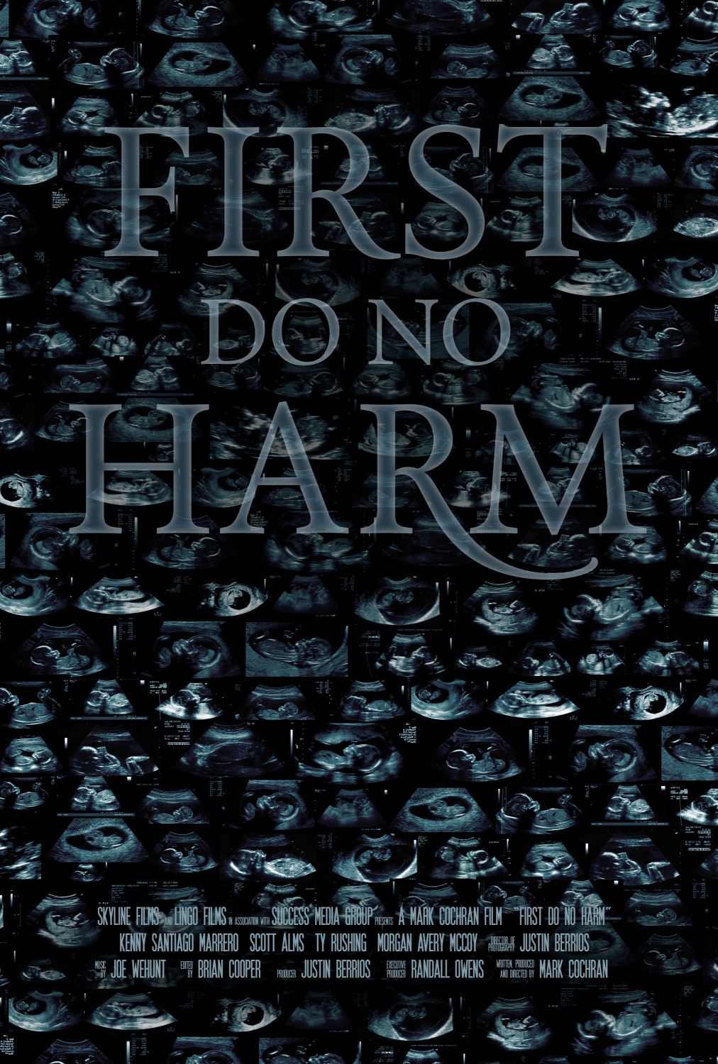 Extra Large Movie Poster Image for First, Do No Harm