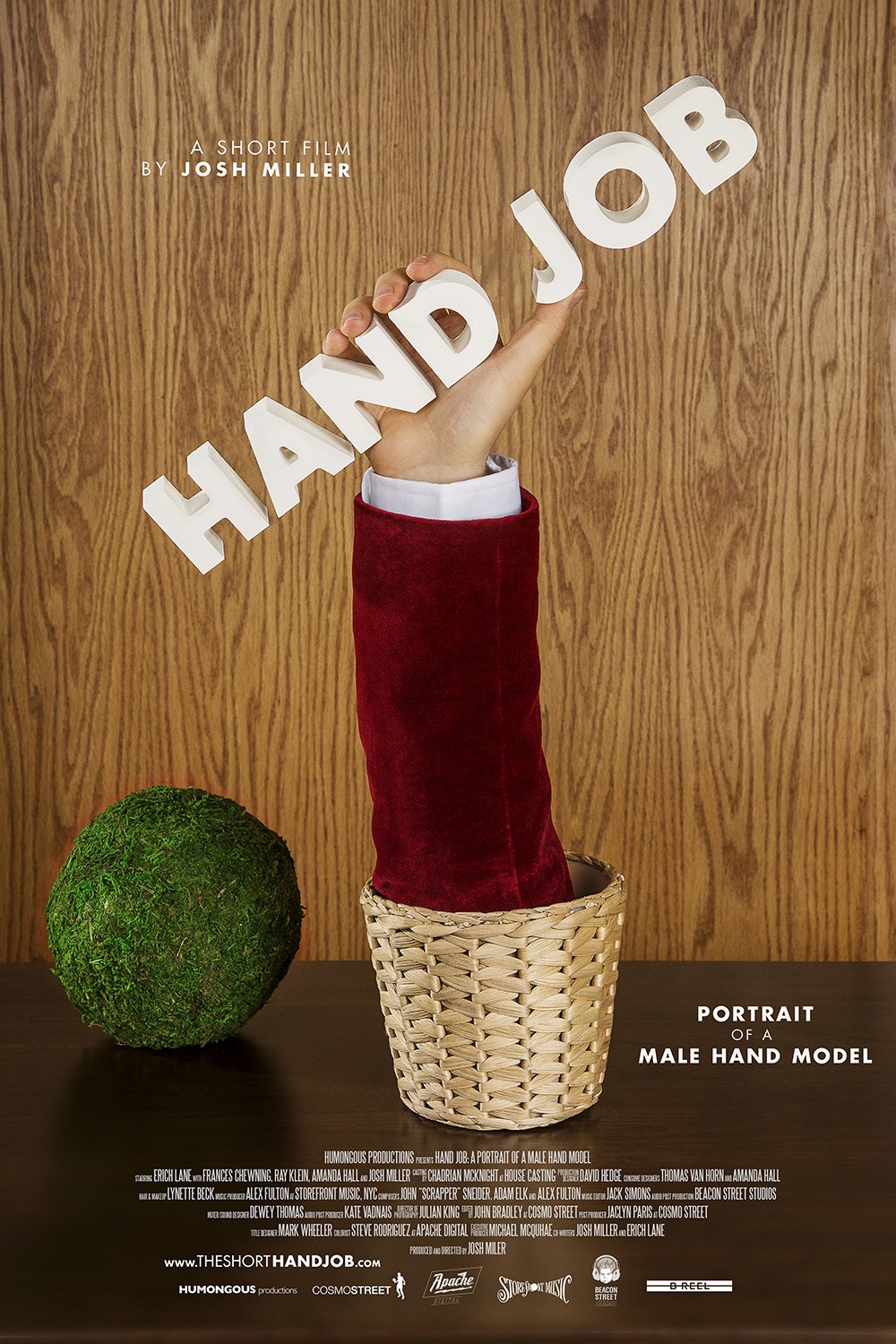 Extra Large Movie Poster Image for Hand Job: Portrait of a Male Hand Model