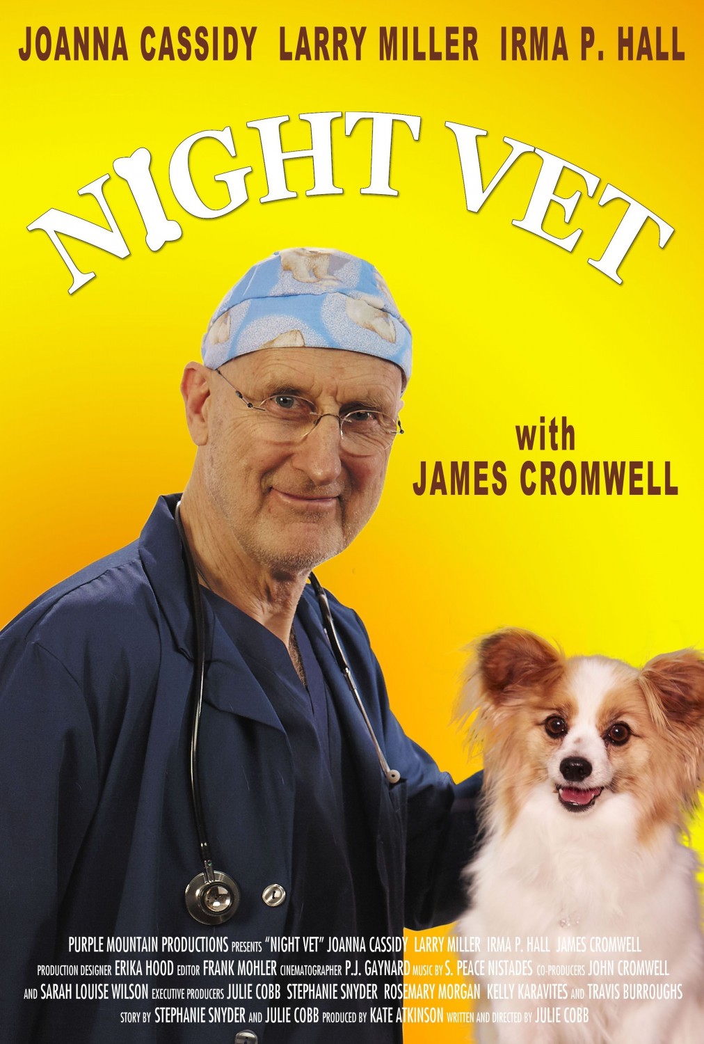 Extra Large Movie Poster Image for Night Vet