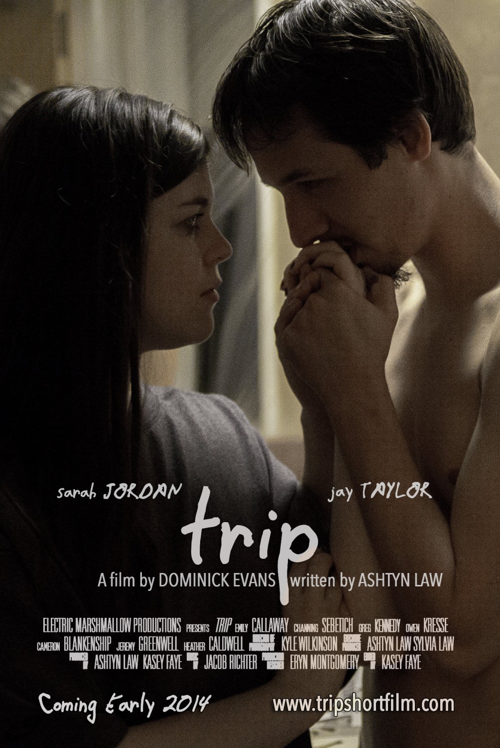 Extra Large Movie Poster Image for Trip