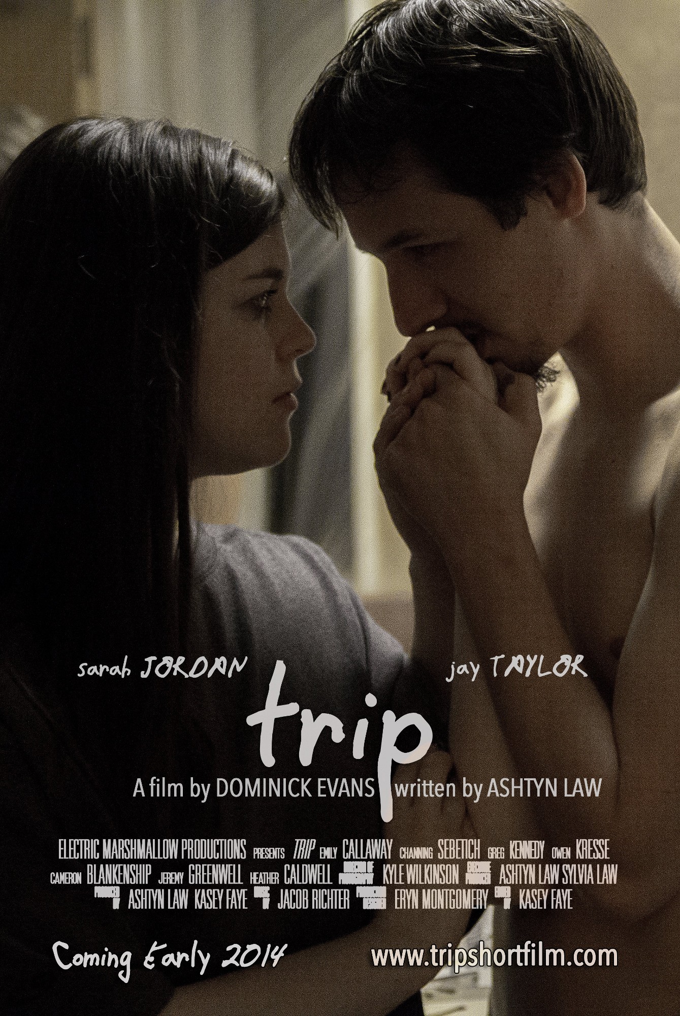 Mega Sized Movie Poster Image for Trip