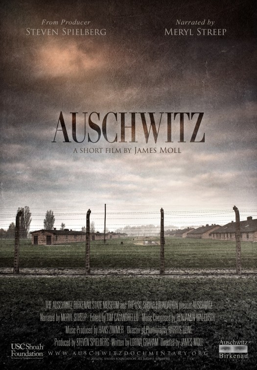 Auschwitz Short Film Poster