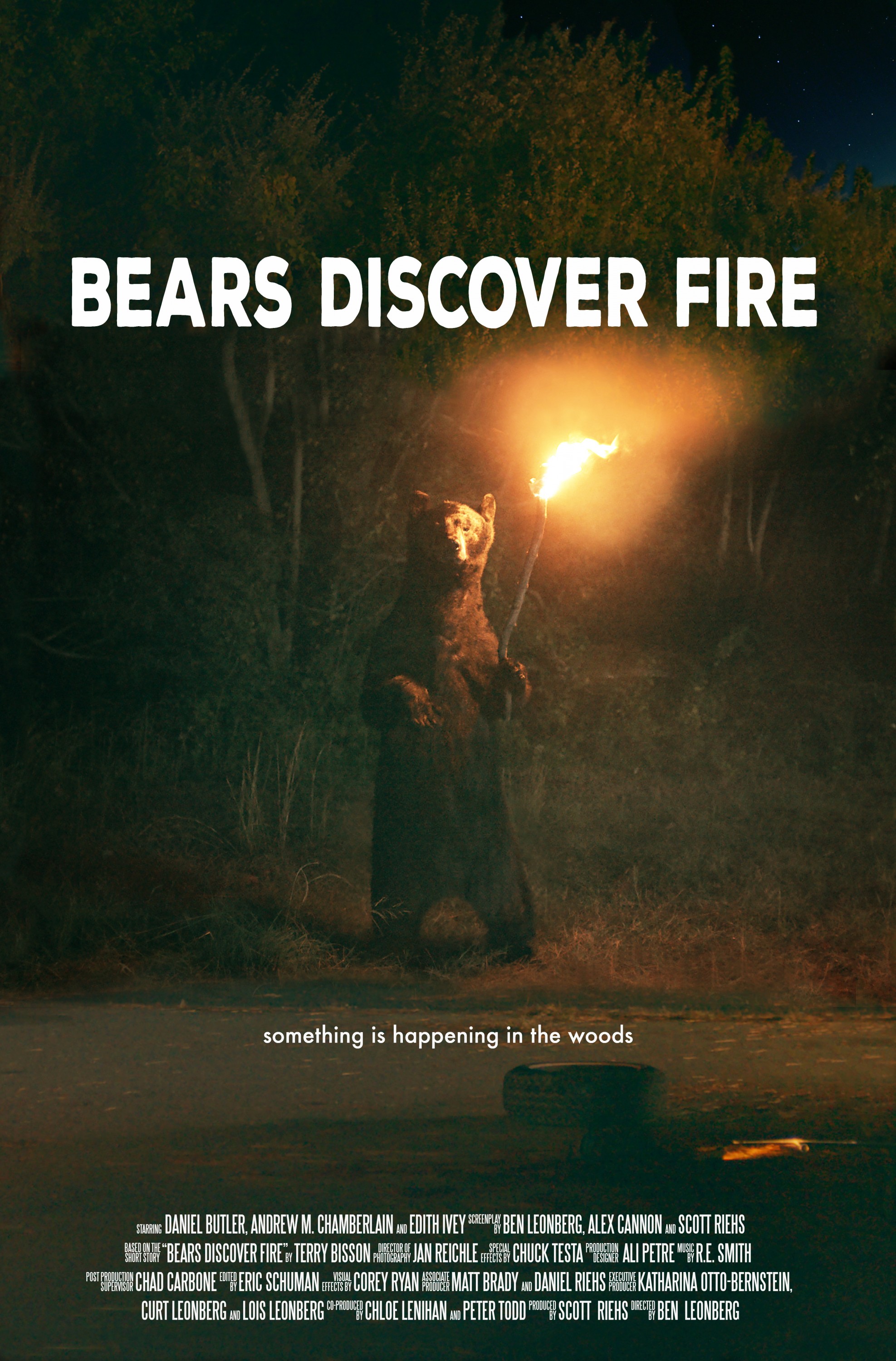 Mega Sized Movie Poster Image for Bears Discover Fire