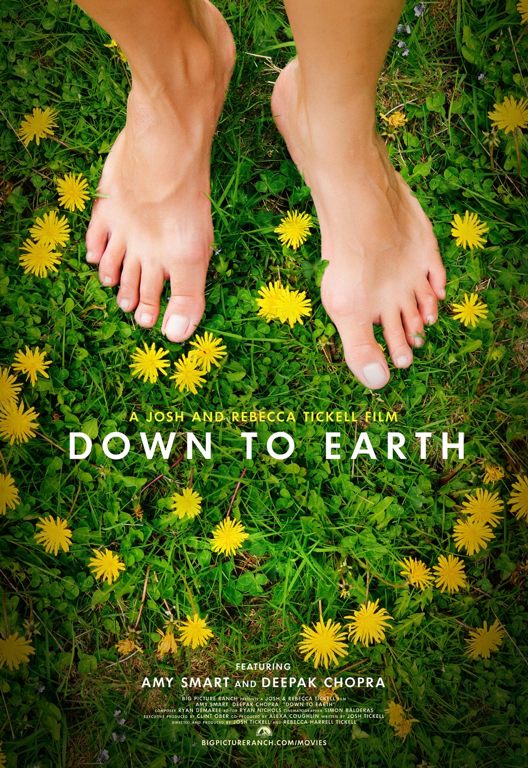Extra Large Movie Poster Image for Down To Earth