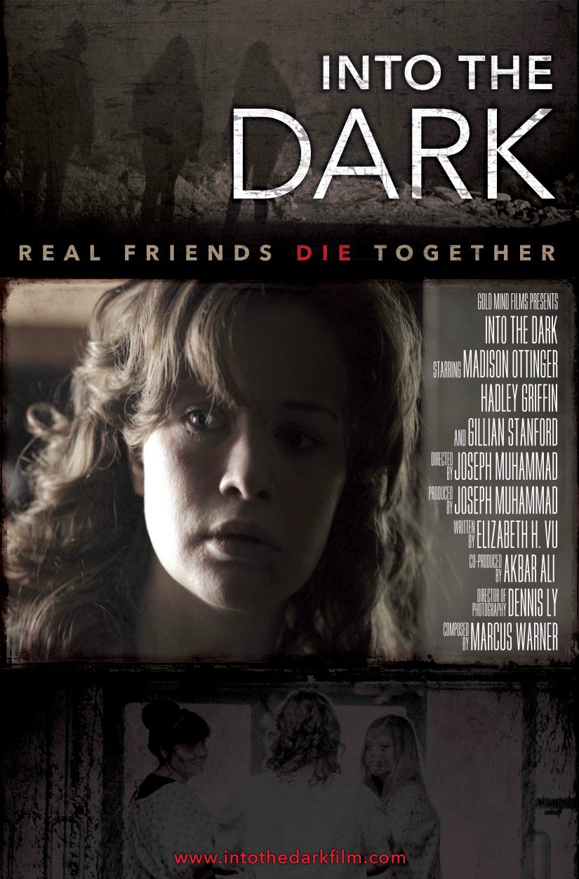 Extra Large Movie Poster Image for Into the Dark