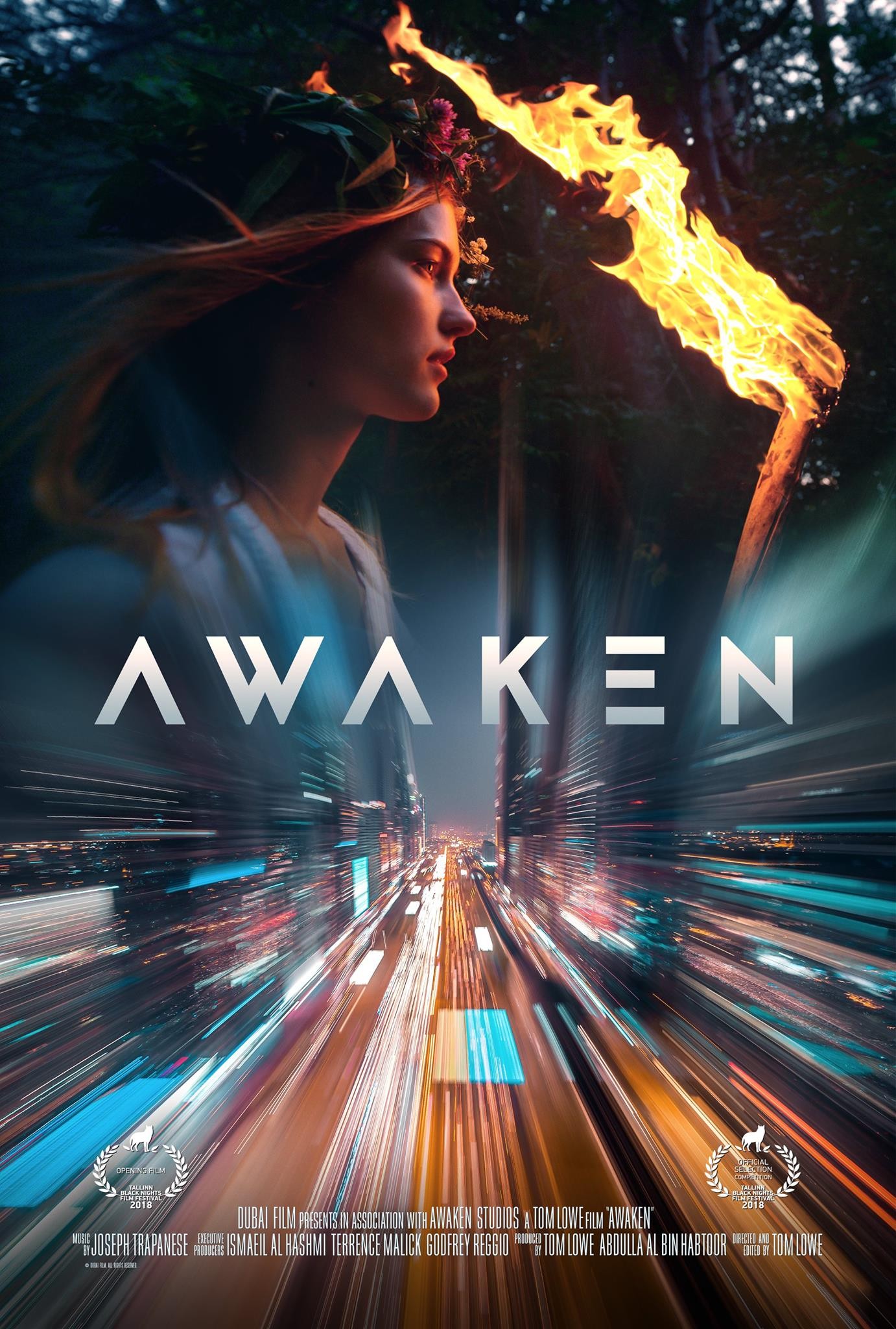Mega Sized Movie Poster Image for Awaken