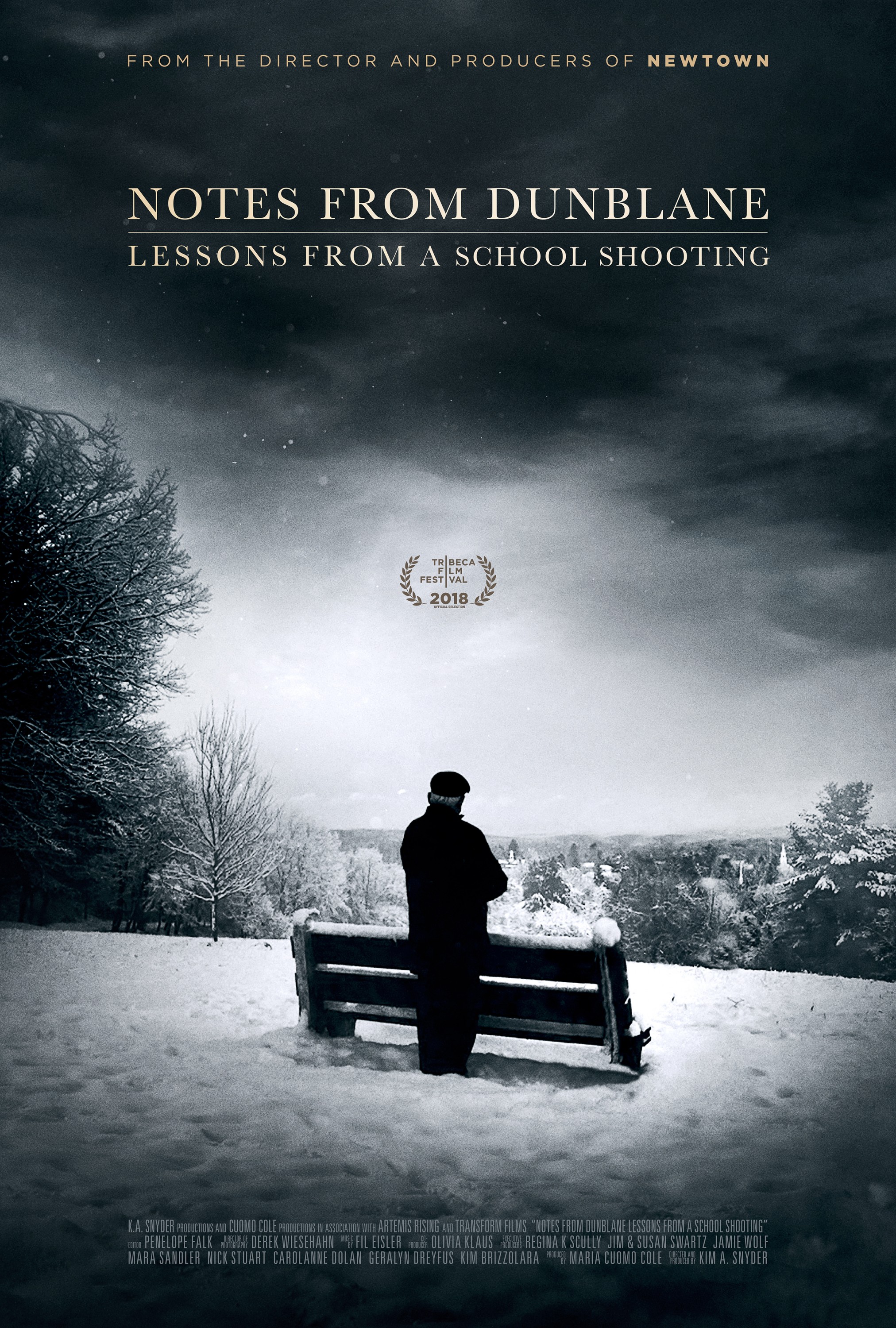 Mega Sized Movie Poster Image for Notes from Dunblane: Lesson from a School Shooting