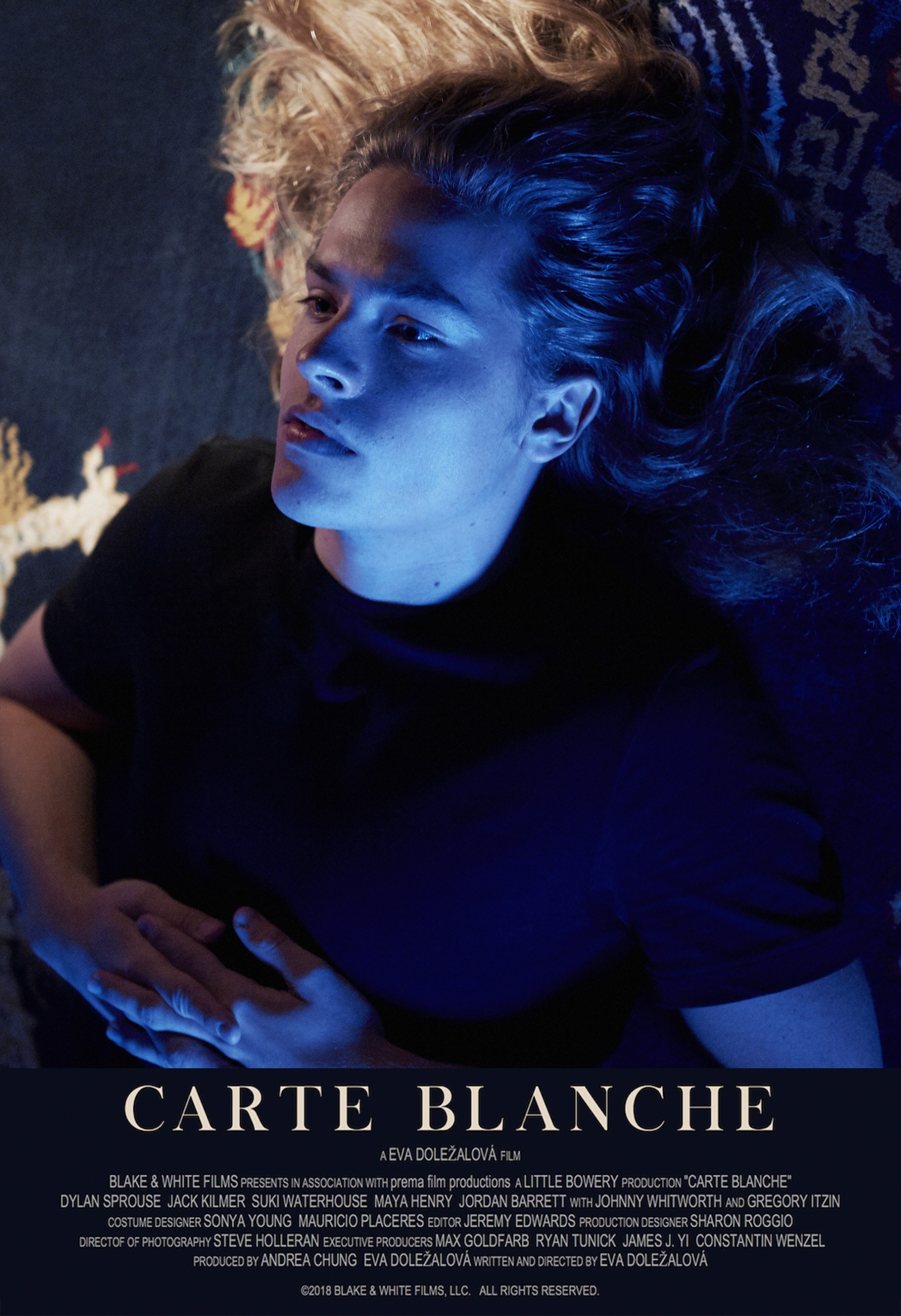 Mega Sized Movie Poster Image for Carte Blanche